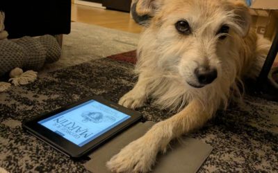 Kiki liest: Game of Thrones