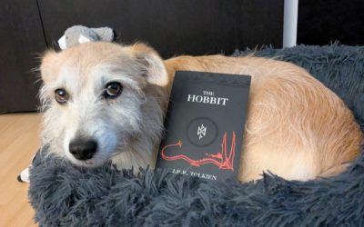 Kiki liest: Der Hobbit