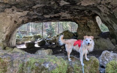 Kikis Abenteuer: Das Duell im Wald